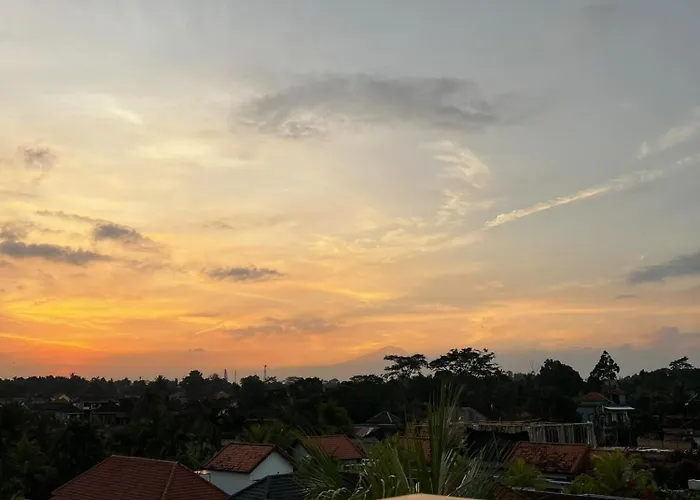 Dr Philo Art Sawah * Ubud (Bali)